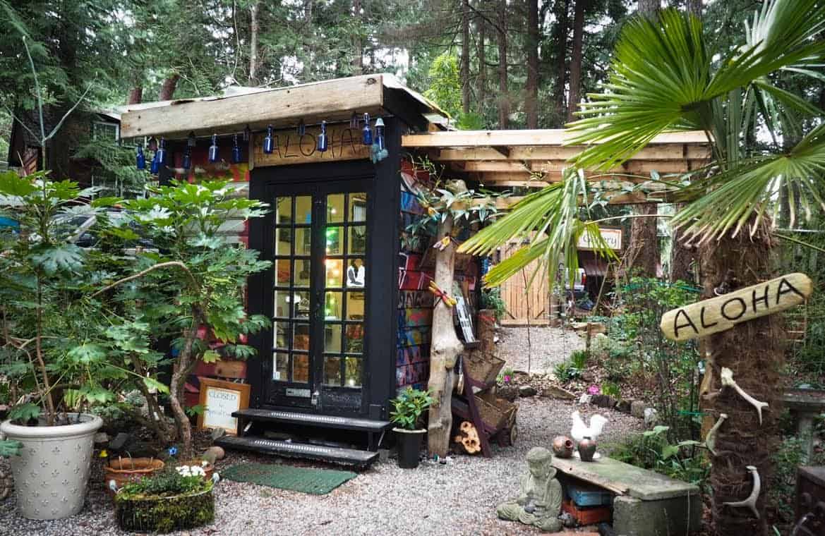 alohasheshed